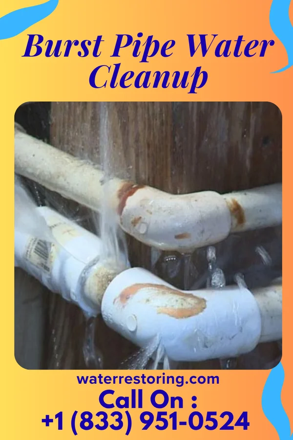 Burst Pipe Water Cleanup in Strattanville, PA