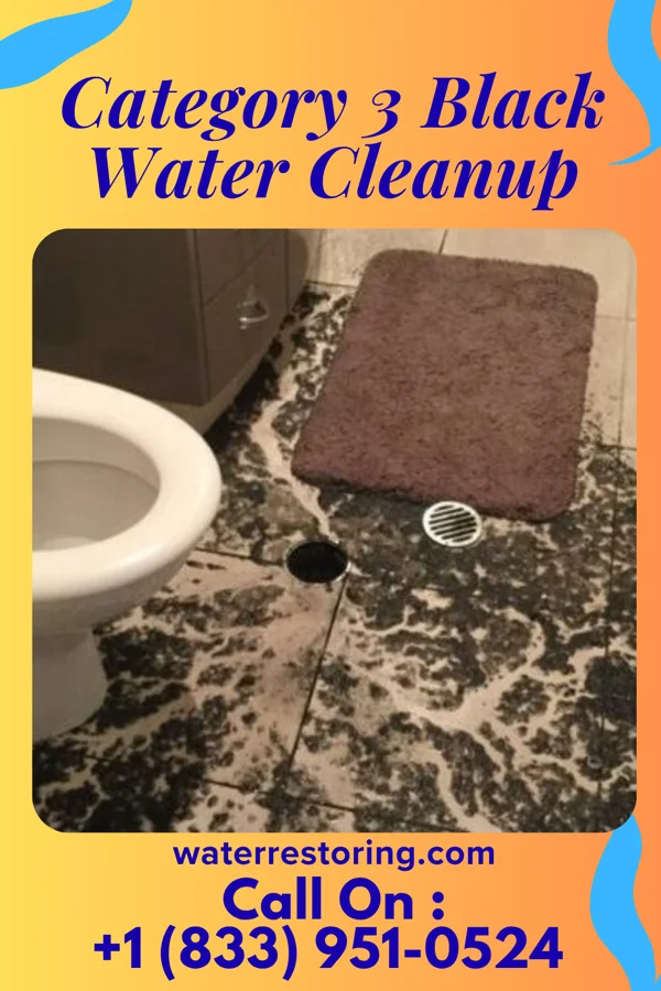 Category 3 Black Water Cleanup in Strattanville, PA