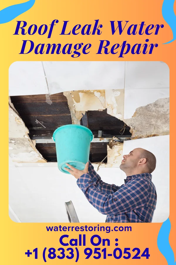 Roof Leak Water Damage Repair in Strattanville, PA