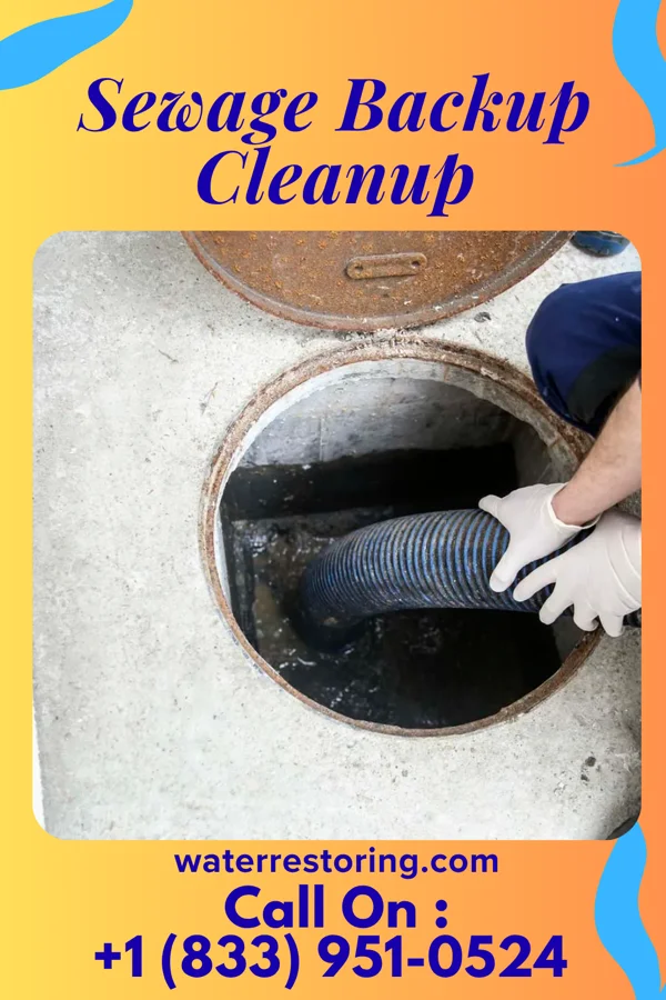 Sewage Backup Cleanup in Strattanville, PA