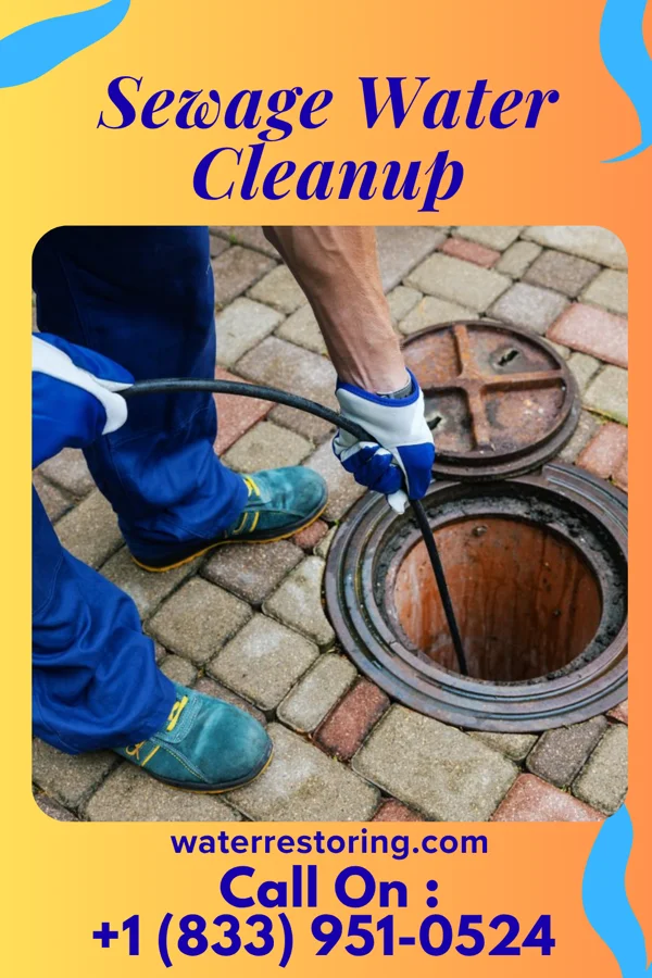 Sewage Water Cleanup in Strattanville, PA