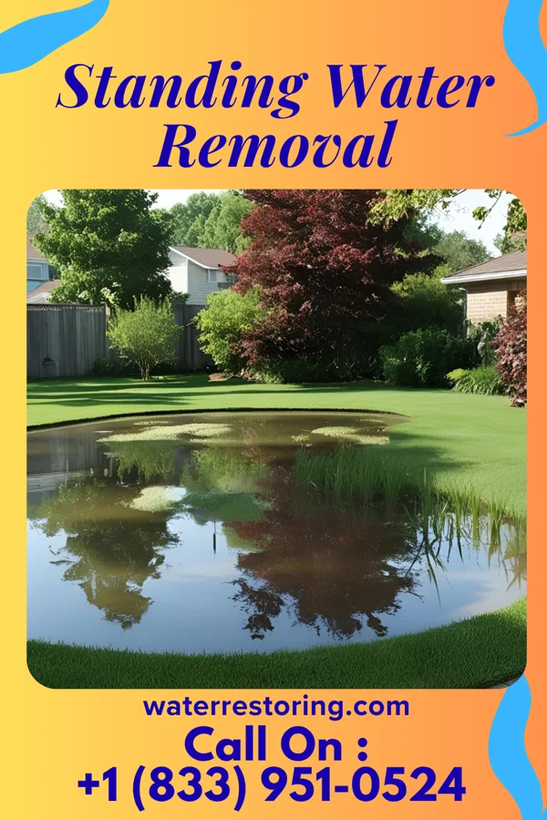 Standing Water Removal in Strattanville, PA
